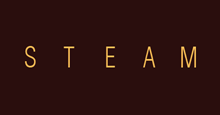 Steam