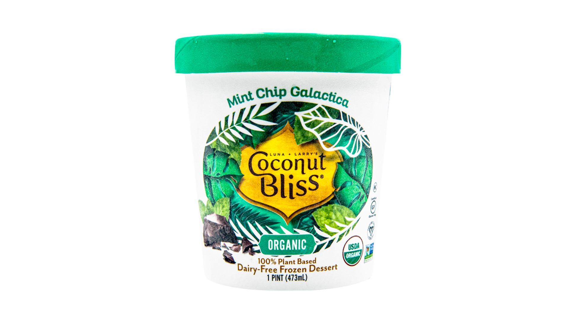 Vegan Mint Chip Galactica Pint (Coconut Bliss)